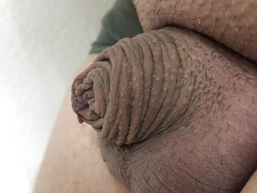 12P Small White Cock