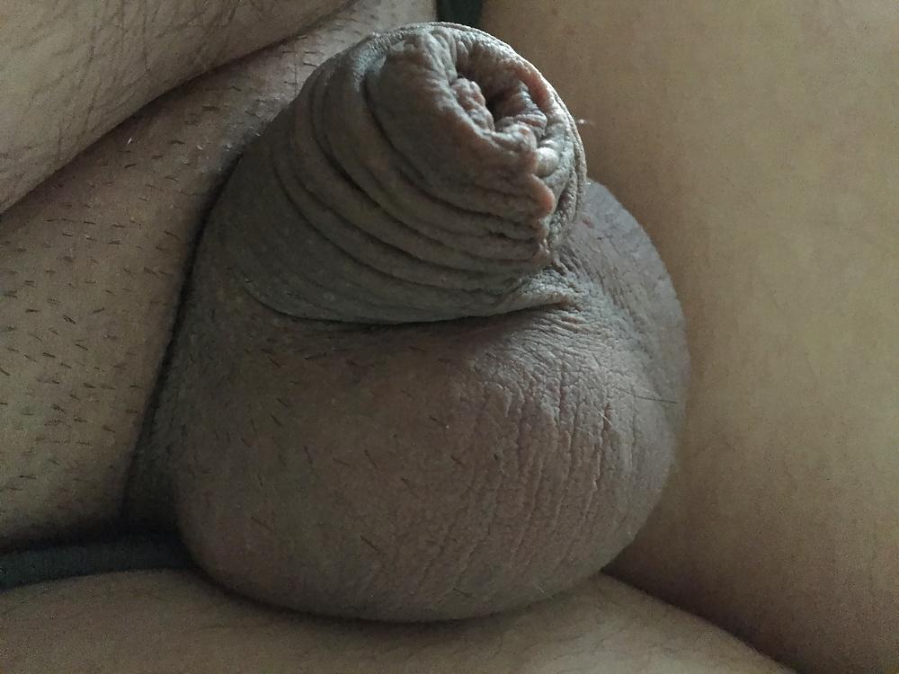 12P Small White Cock