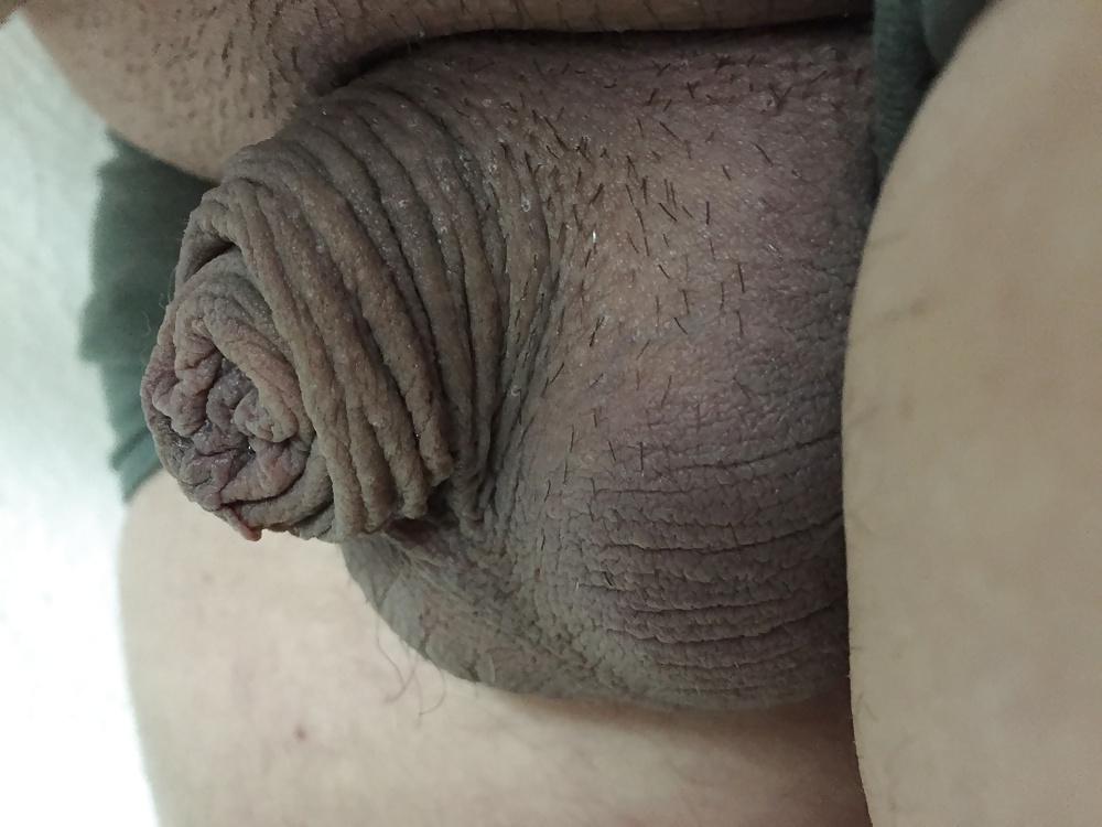 12P Small White Cock