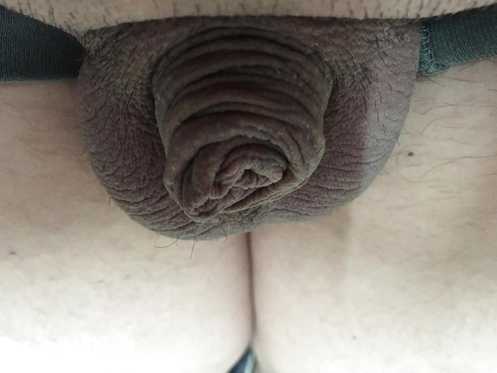 12P Small White Cock