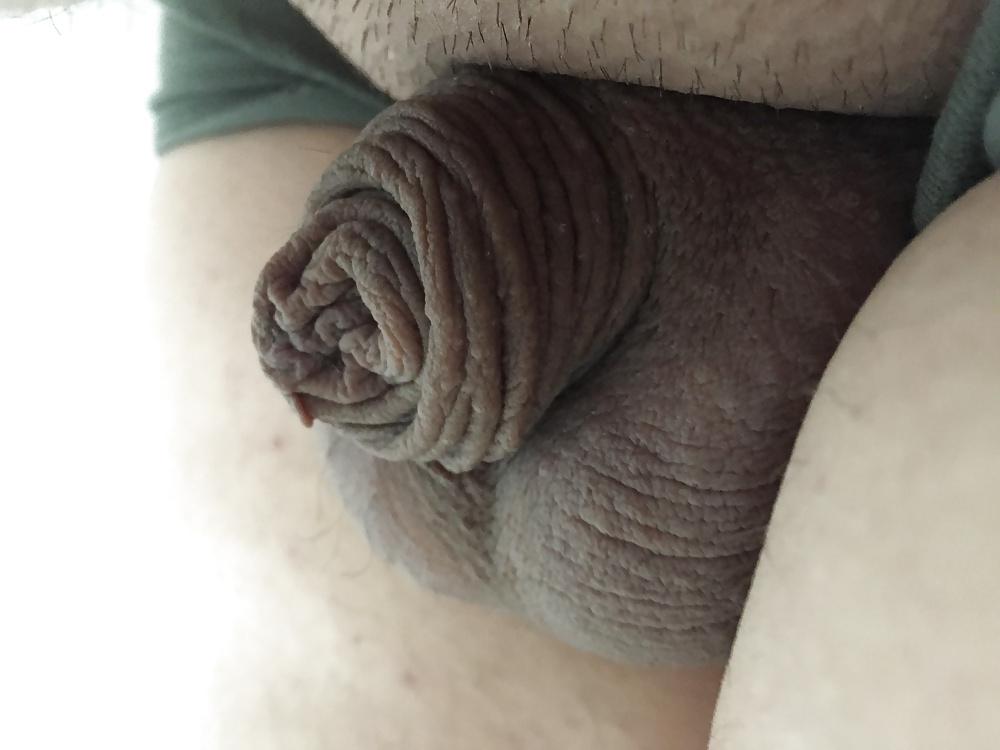 12P Small White Cock
