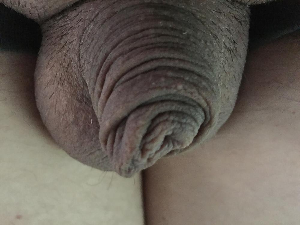 12P Small White Cock