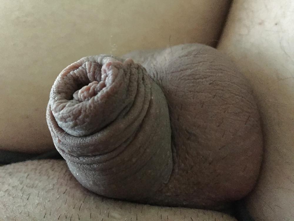 12P Small White Cock