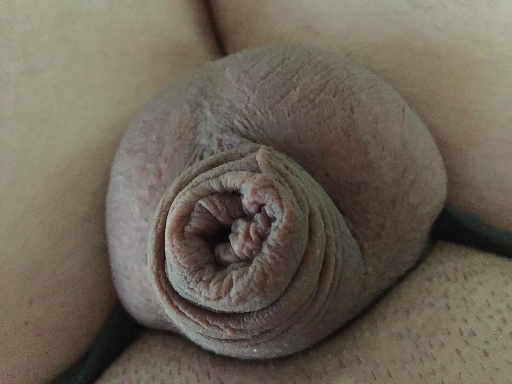 12P Small White Cock