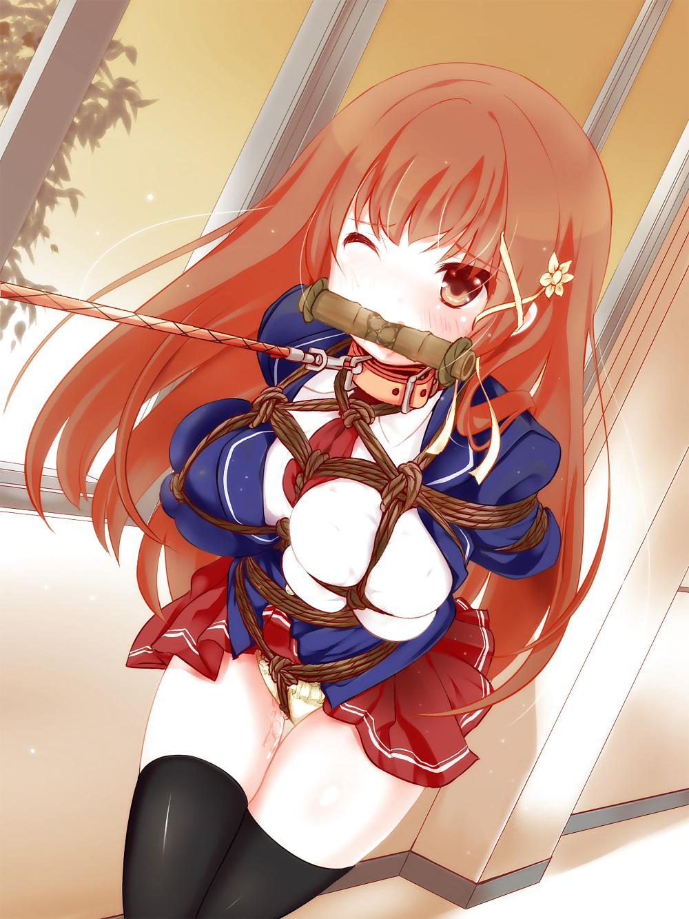 25P Hentai Bondage 6
