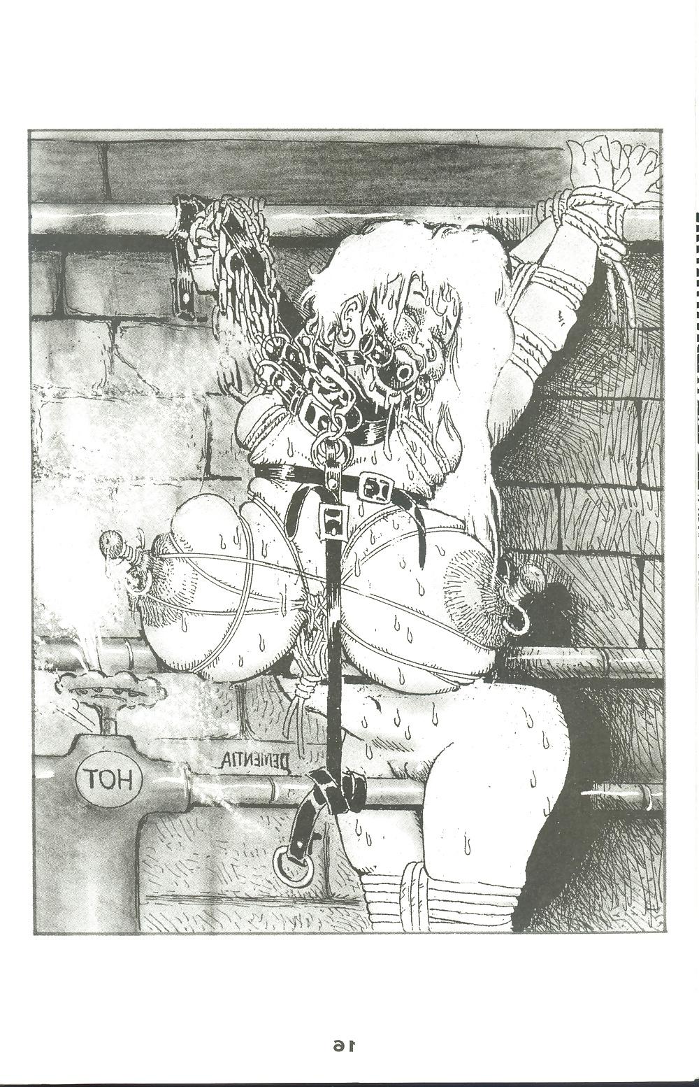 11P Bondage Comics