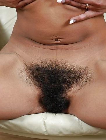 24P Hairy Babes 2