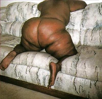 8P Best of the Best...BBWS & SSBBWS #2