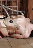 25P Bondage girls