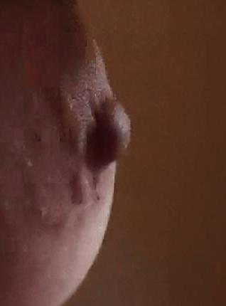 14P Nipples and tits