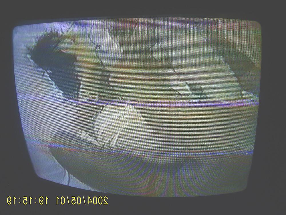 23P Best of japanese hardcore deleted scenes