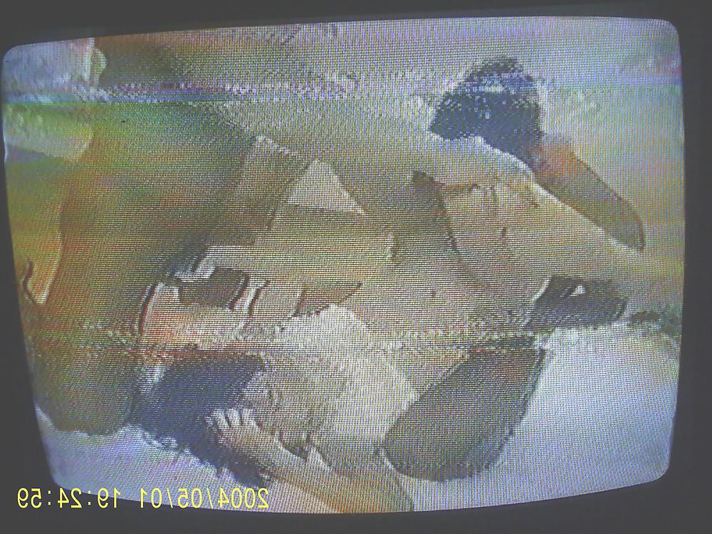 23P Best of japanese hardcore deleted scenes