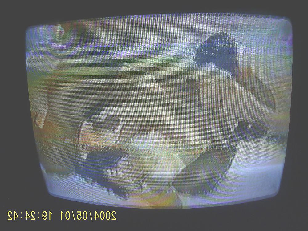 23P Best of japanese hardcore deleted scenes