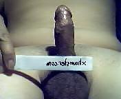 8P Small cock