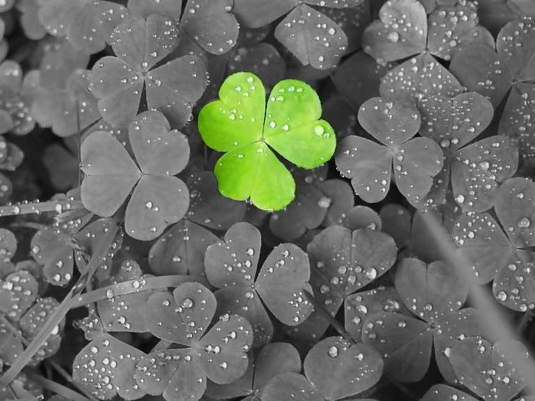 6P For my husband an Irish Blessing from way back.