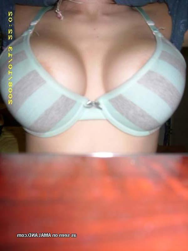 14P Nice picture gallery of amateur busty babes