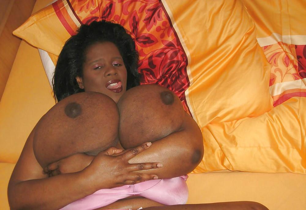 24P MS. TITTY