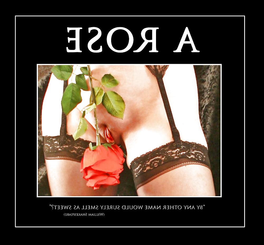 25P The Best of Another Naked Anonymous Wife
