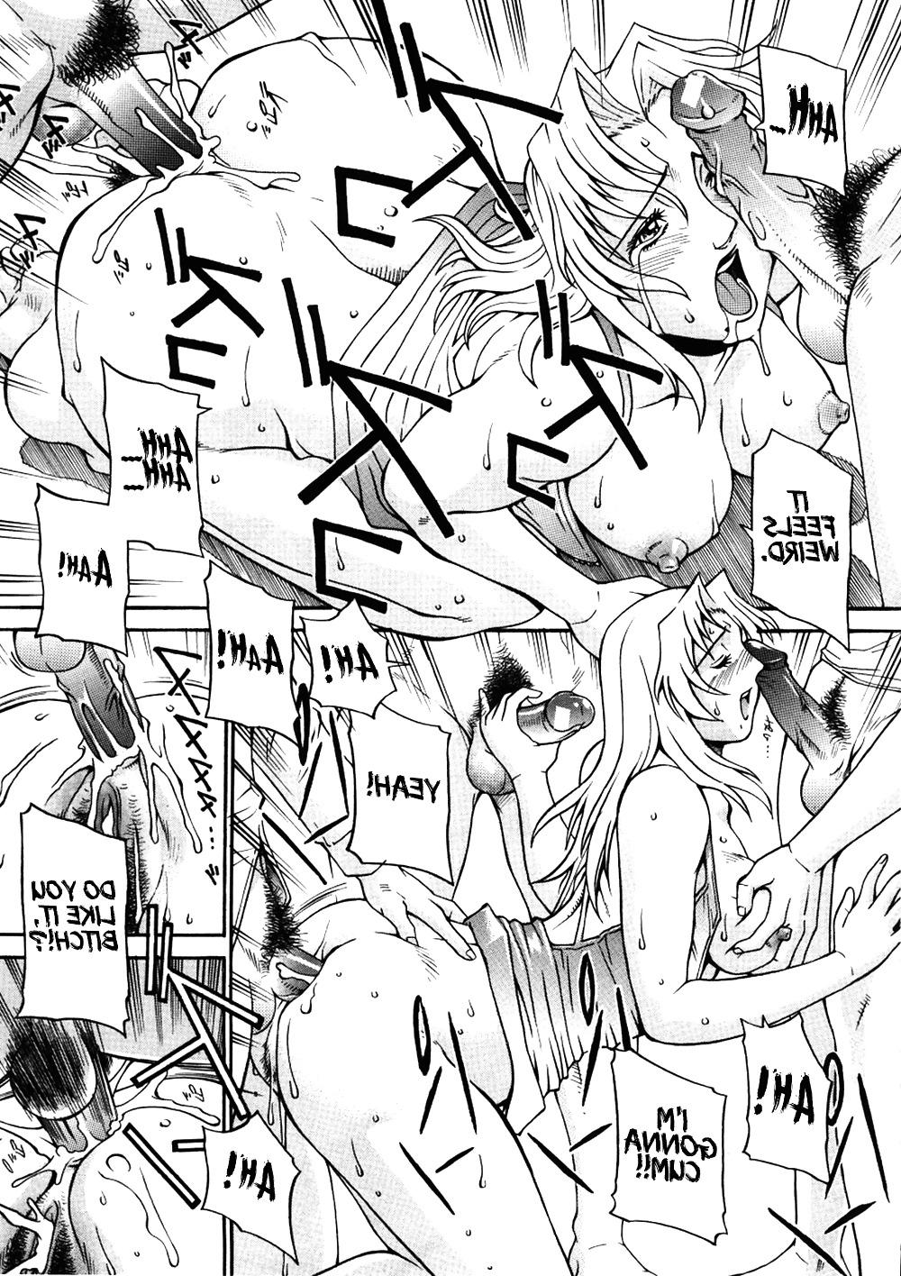 13P PERVERTED INHERITANCE