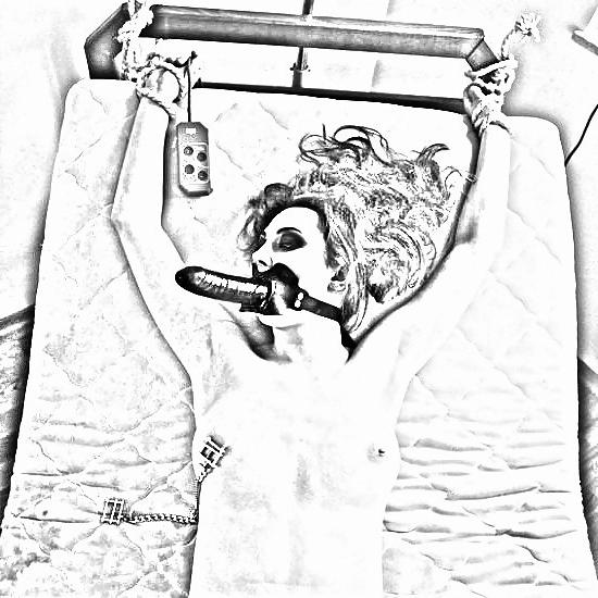 4P Art&Crazy