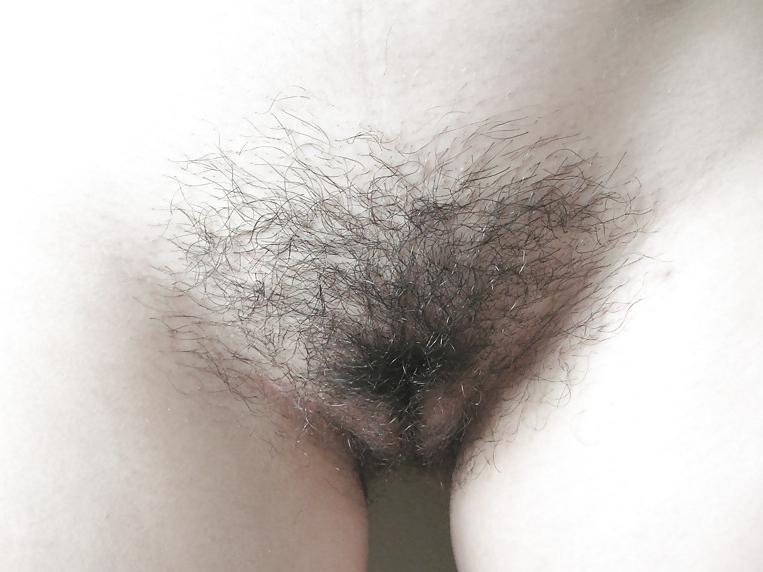 20P Bushy sex
