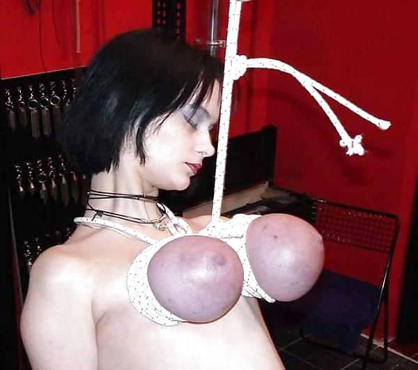 17P More Tits Bondage