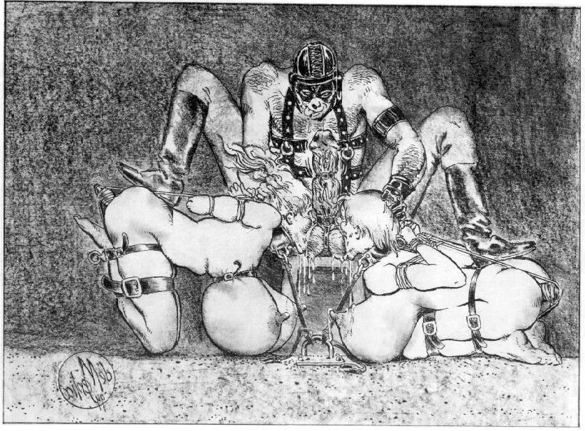 15P crazy huge breast bondage drawings