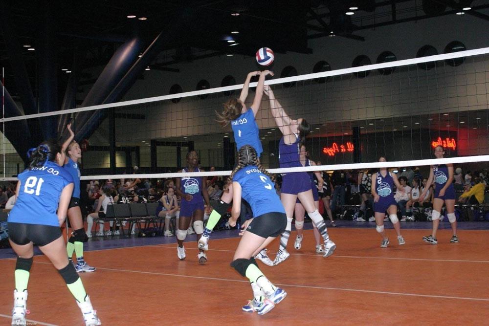 16P Amateur volleyball players
