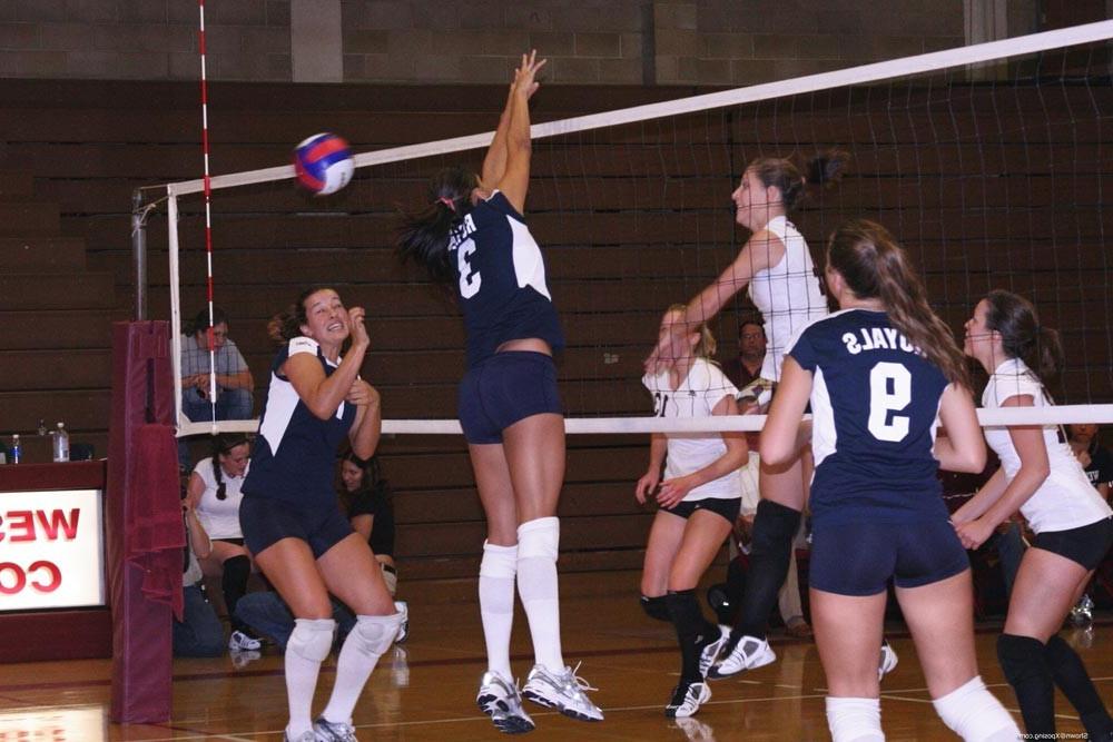 16P Amateur volleyball players