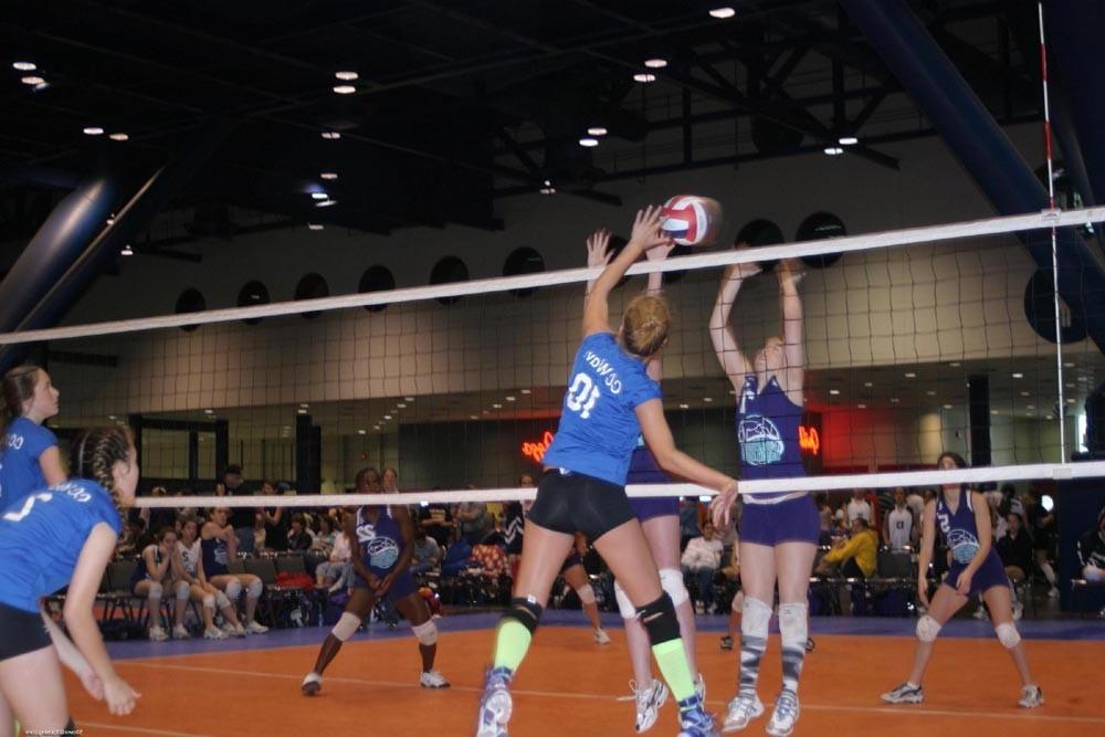 16P Amateur volleyball players