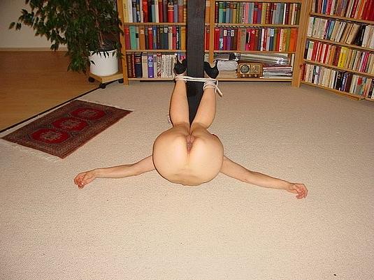 12P babes showing their hot asses
