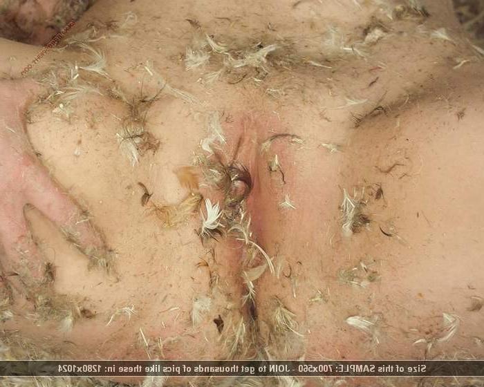 12P Beautiful nude teen babes wrestling in feathers