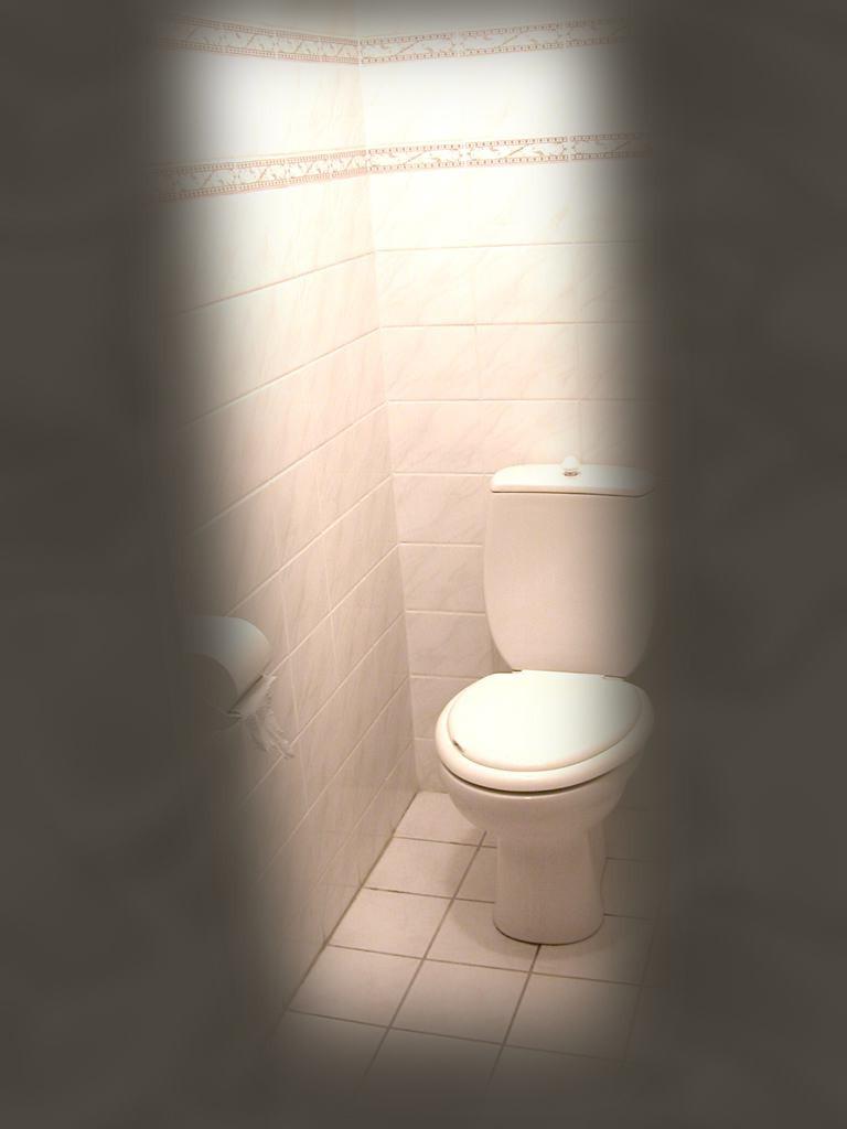 16P Cute brunette caught peeing on toilet by voyeur hidden cam