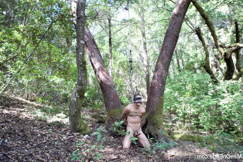 15P Porno-Superstar Ty Roderick wird gefesselt im Wald erwischt und erhält extreme Schläge