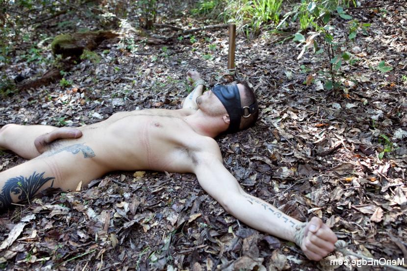 15P Porno-Superstar Ty Roderick wird gefesselt im Wald erwischt und erhält extreme Schläge