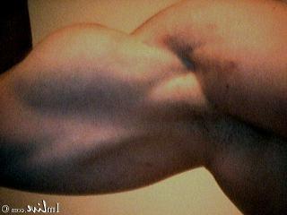 12P Go Wild on Hot Gay Sex Cams with Sexy Homosexual Men