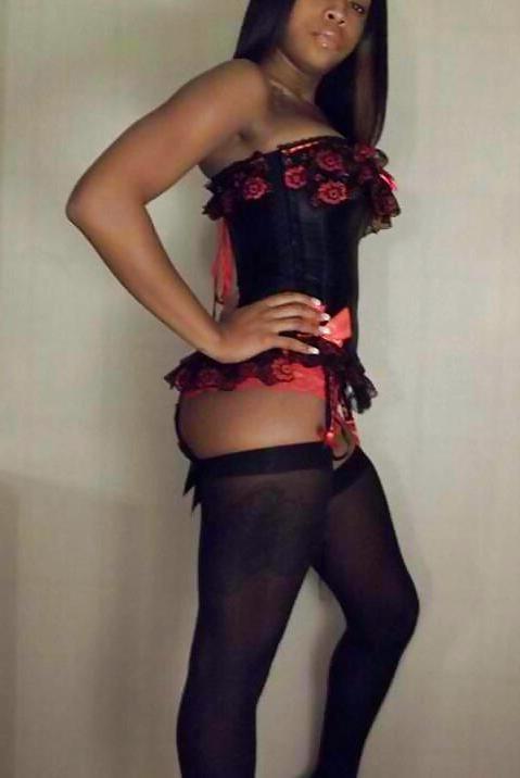 13P Great ebony