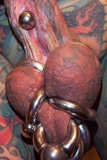 15P Weird cocks