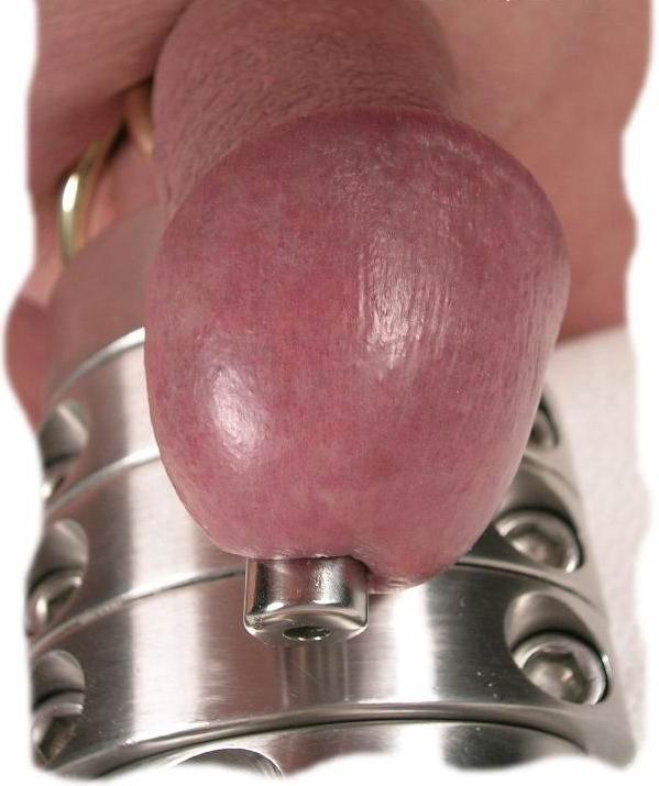 14P Weird cocks
