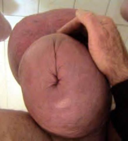 14P Weird cocks