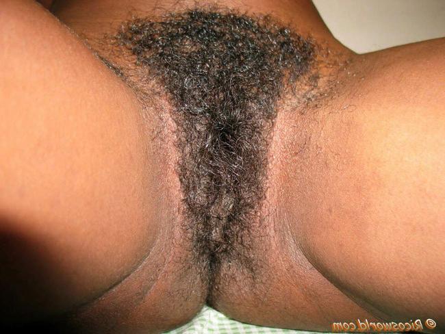 15P Very hairy ebony babes