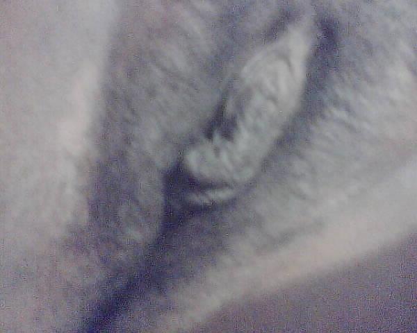12P Mom's friend