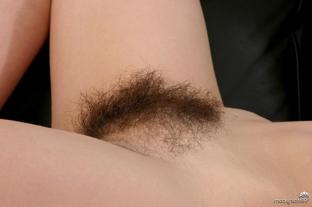 16P busty egyptian brunette teen with super hairy ass