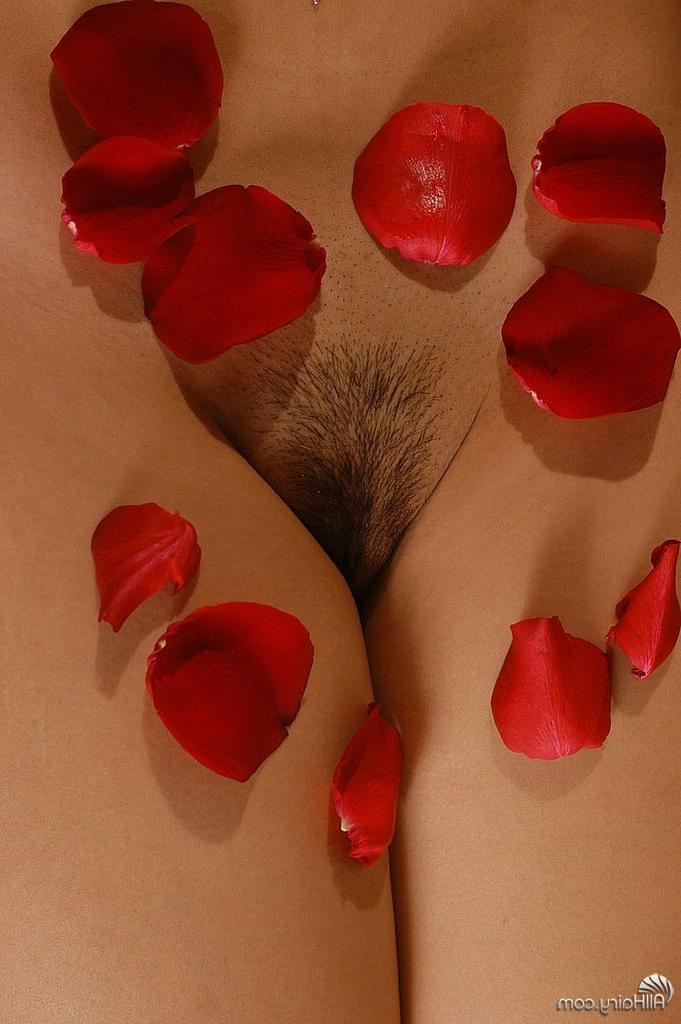 16P american beauty but with nice tits and hairy bush