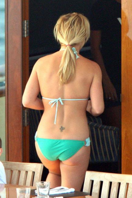 15P Britney Spears caught tanning deep cleavage