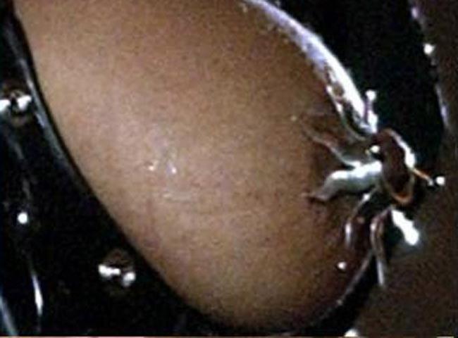 15P Celebrity Janet Jackson showing her hot boobs for paparazzi