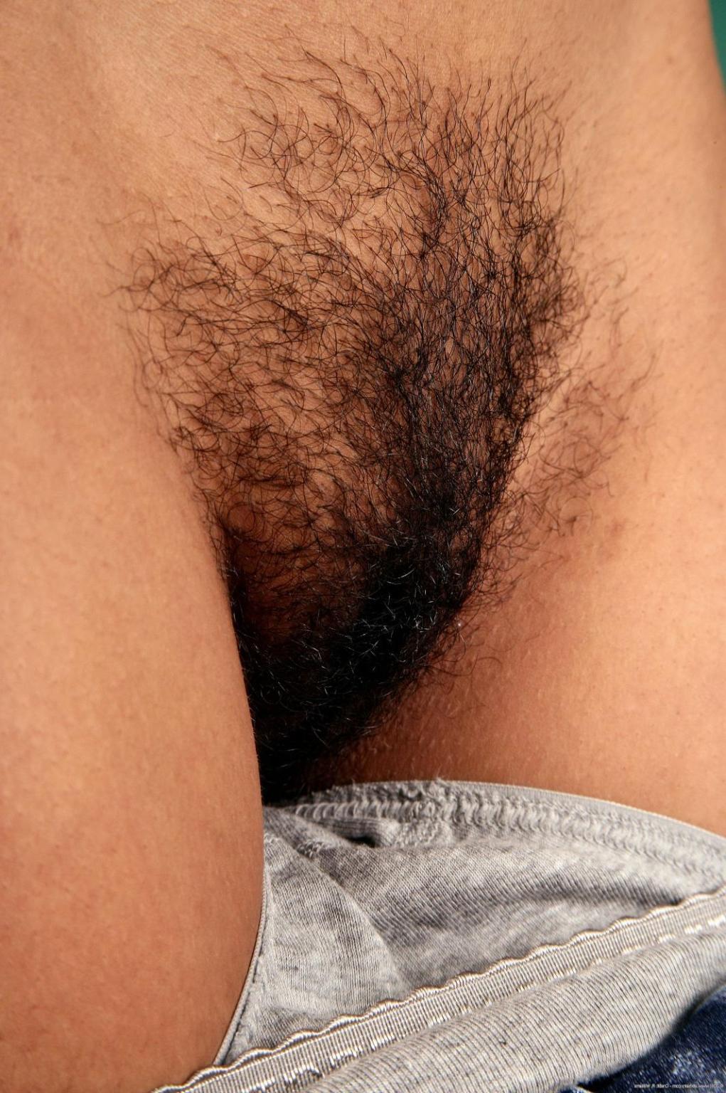 15P Hairy ebony amateur Karmalita spreading pussy