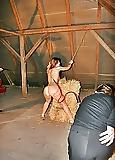 25P Spanked & Whipped
