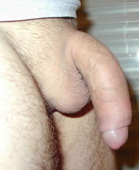 15P Hung gay bfs posing and fucking