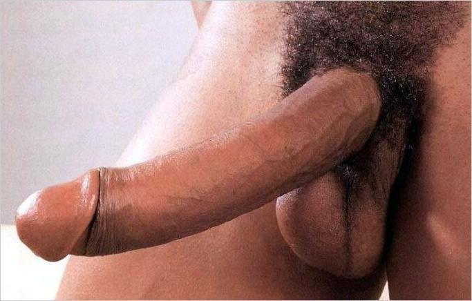 15P Hung gay bfs posing and fucking